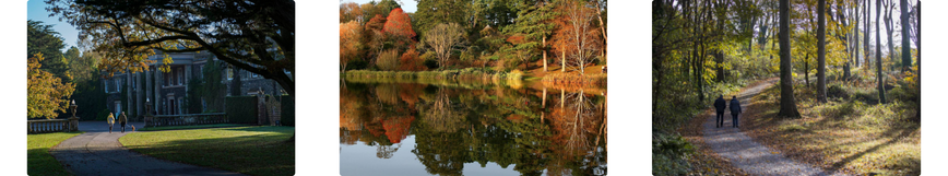 A trio of images of Mount Stewart, Newtownards